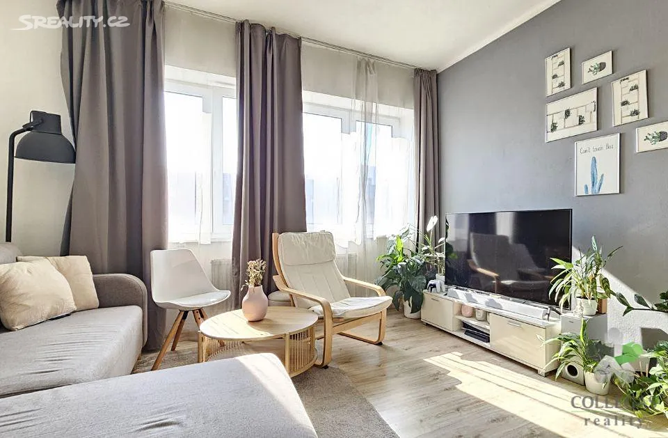 Pronájem bytu 2+kk 46 m², Brno