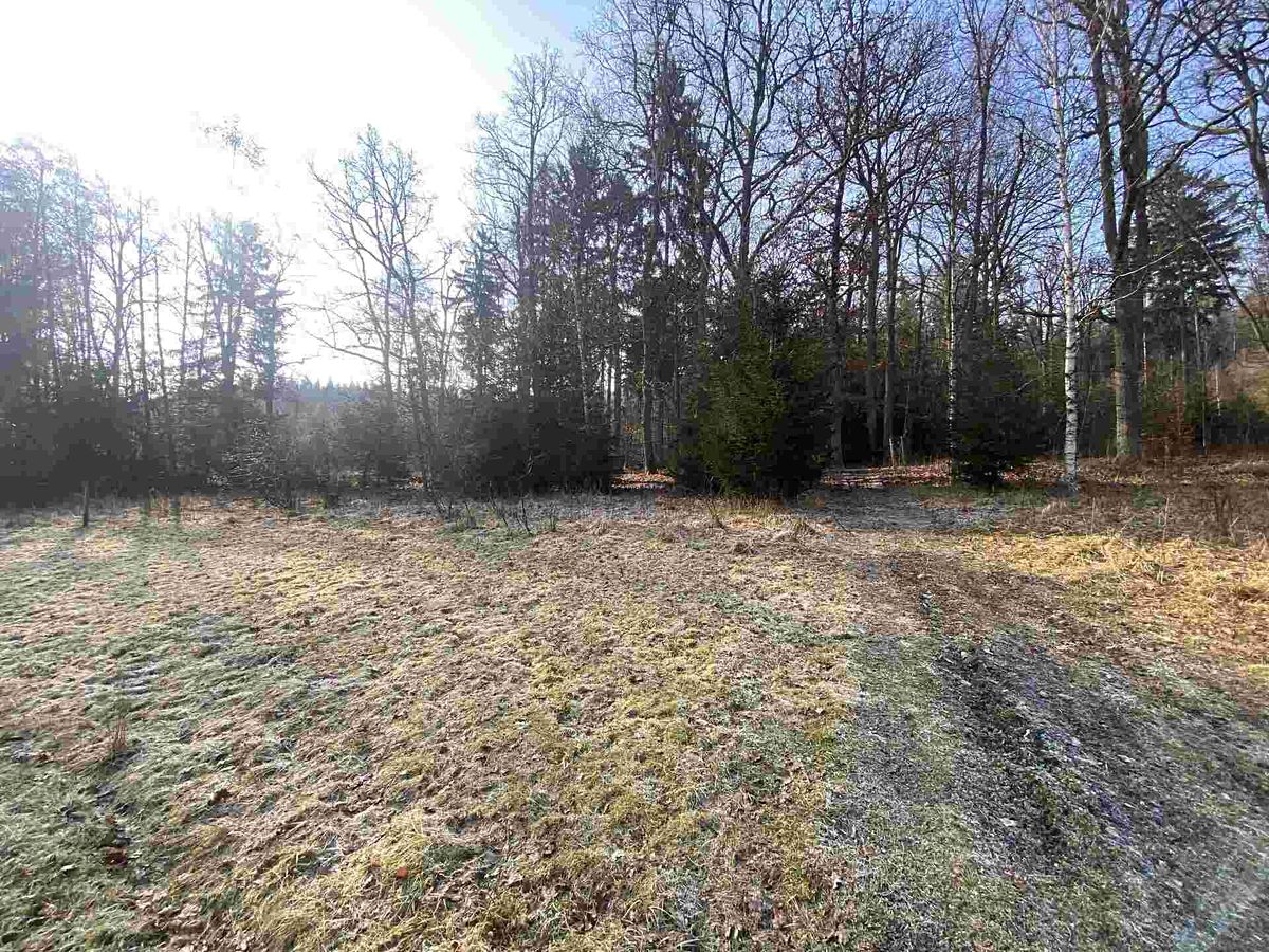 Prodej pole 5206 m² – fotografie 2