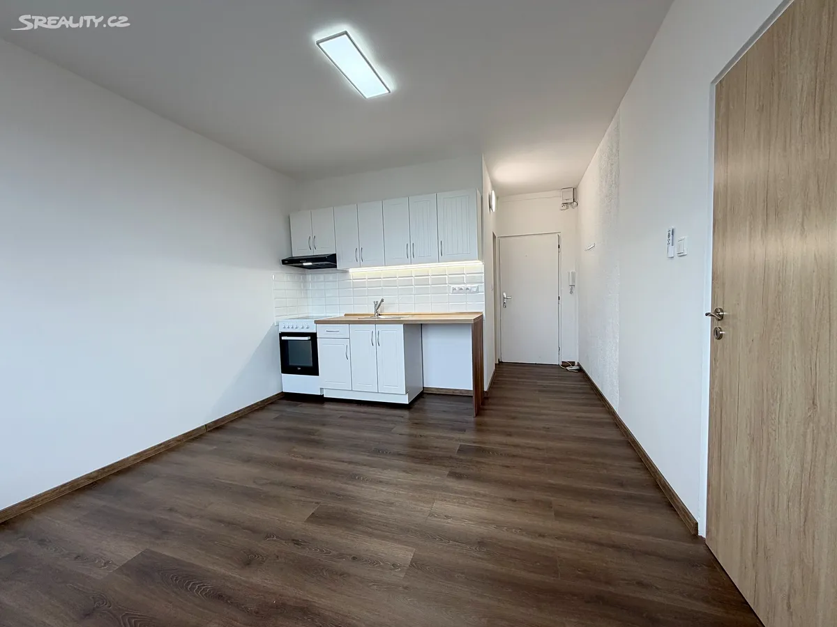 Pronájem bytu 1+1 36 m² – pohled 4