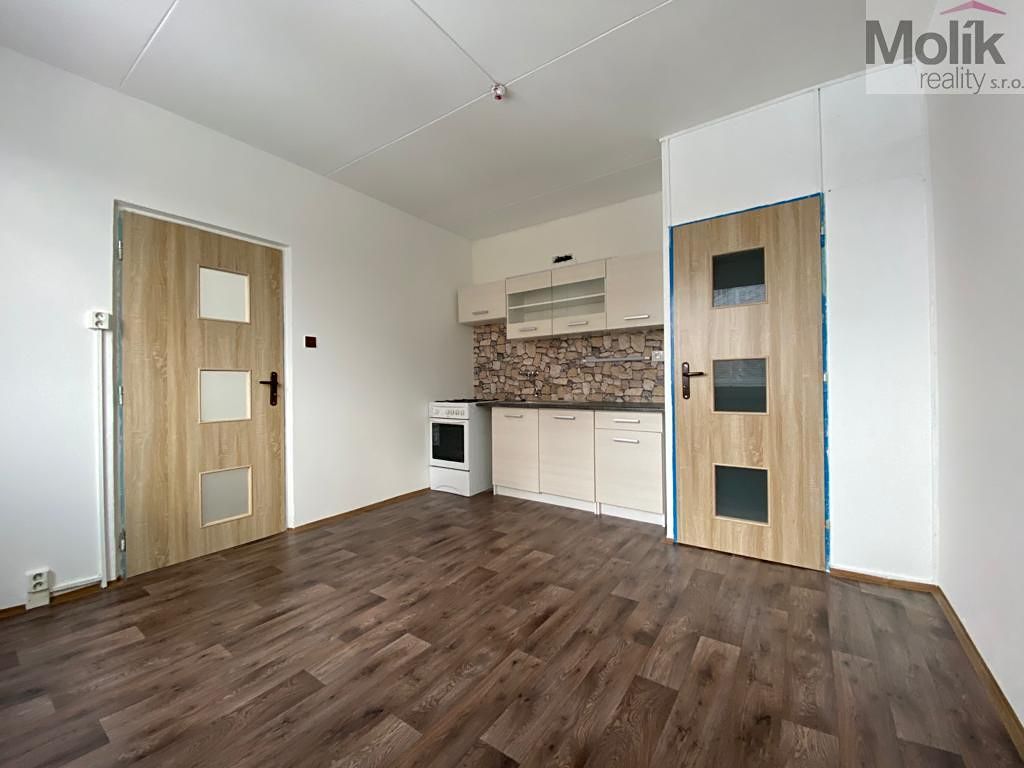 Pronájem bytu 1+1 38 m² – fotografie 5