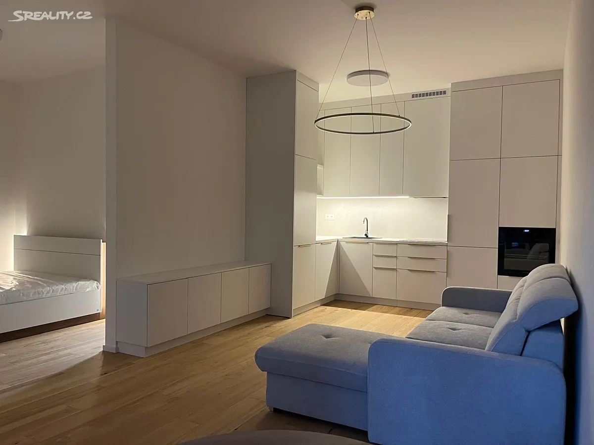 Pronájem bytu 1+kk 44 m², Brno
