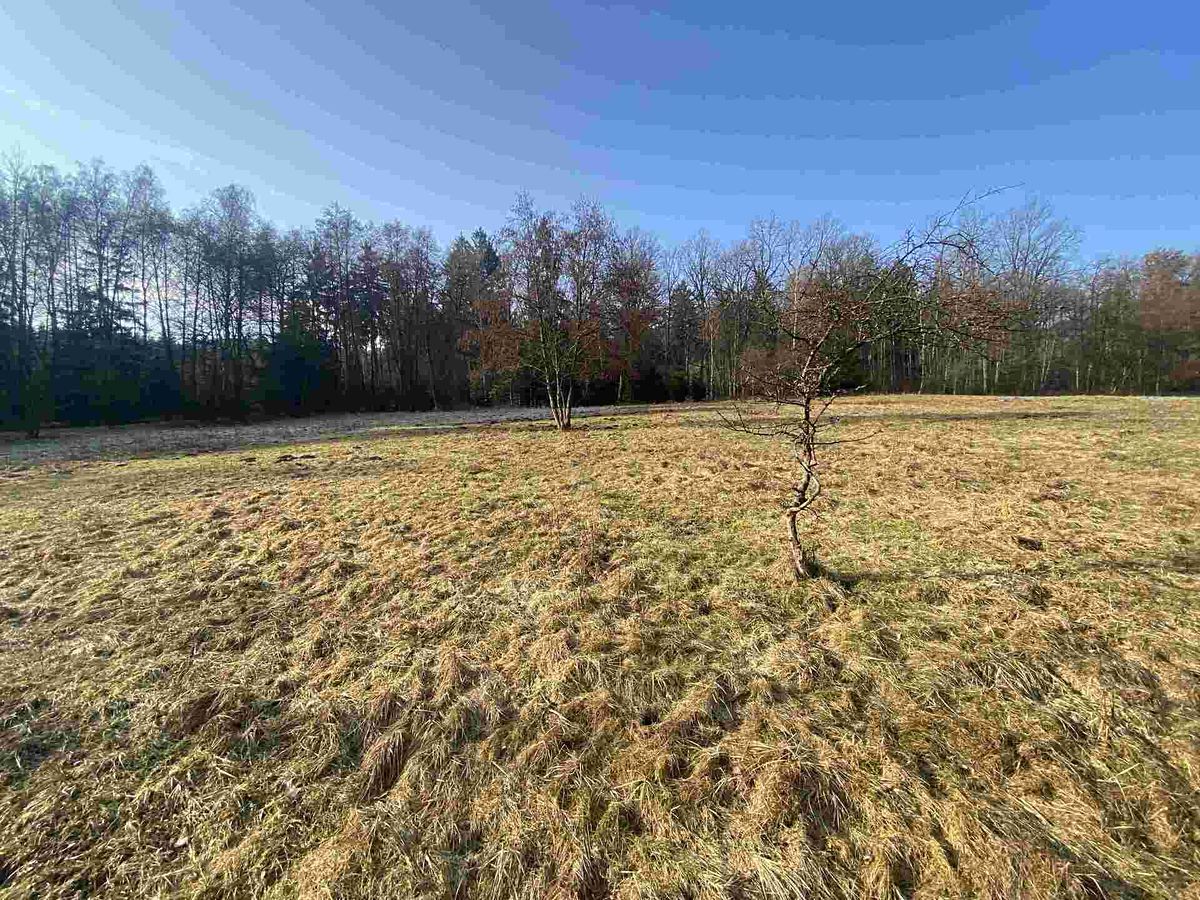 Prodej pole 5206 m²