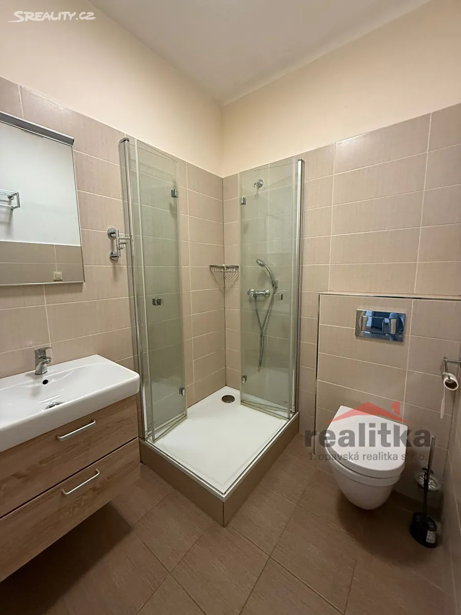 Pronájem bytu 2+kk 32 m² – pohled 6