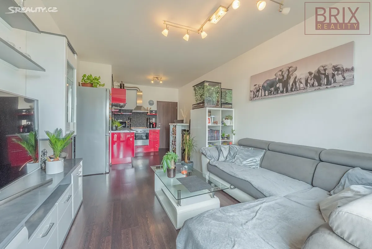 Pronájem bytu 2+kk 54 m² – pohled 3