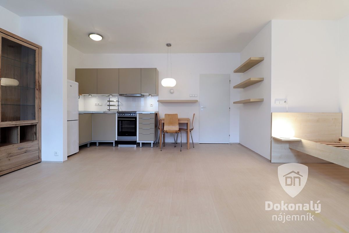 Pronájem bytu 1+kk 40 m²