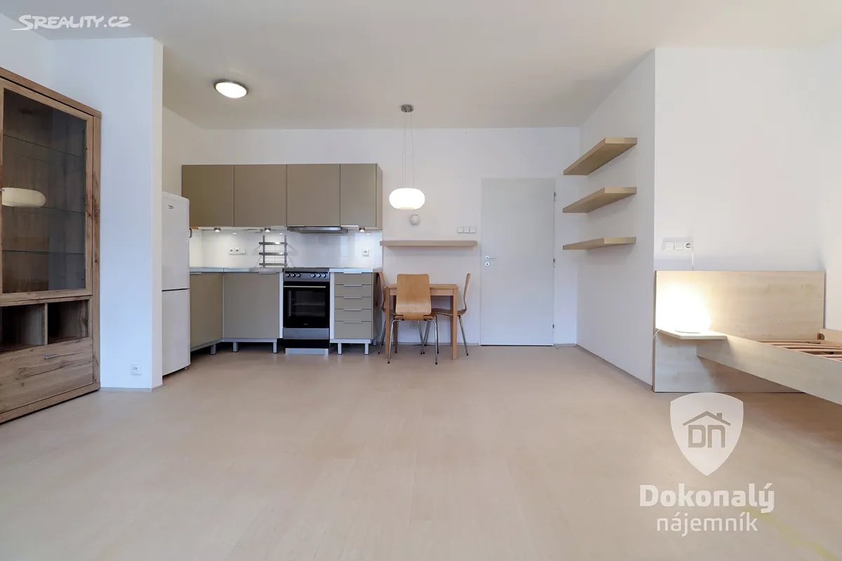 Pronájem bytu 1+kk 40 m², Praha