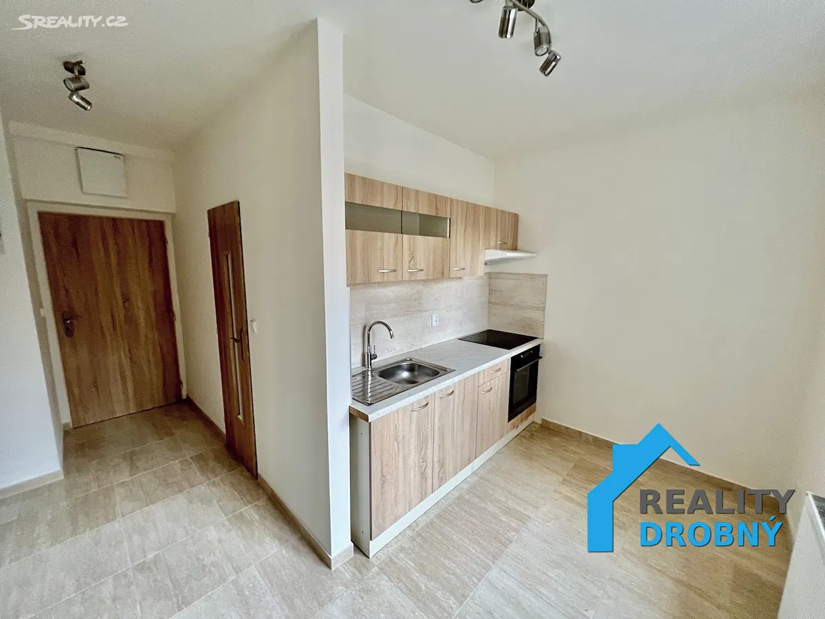 Pronájem bytu 1+1 42 m² – pohled 2