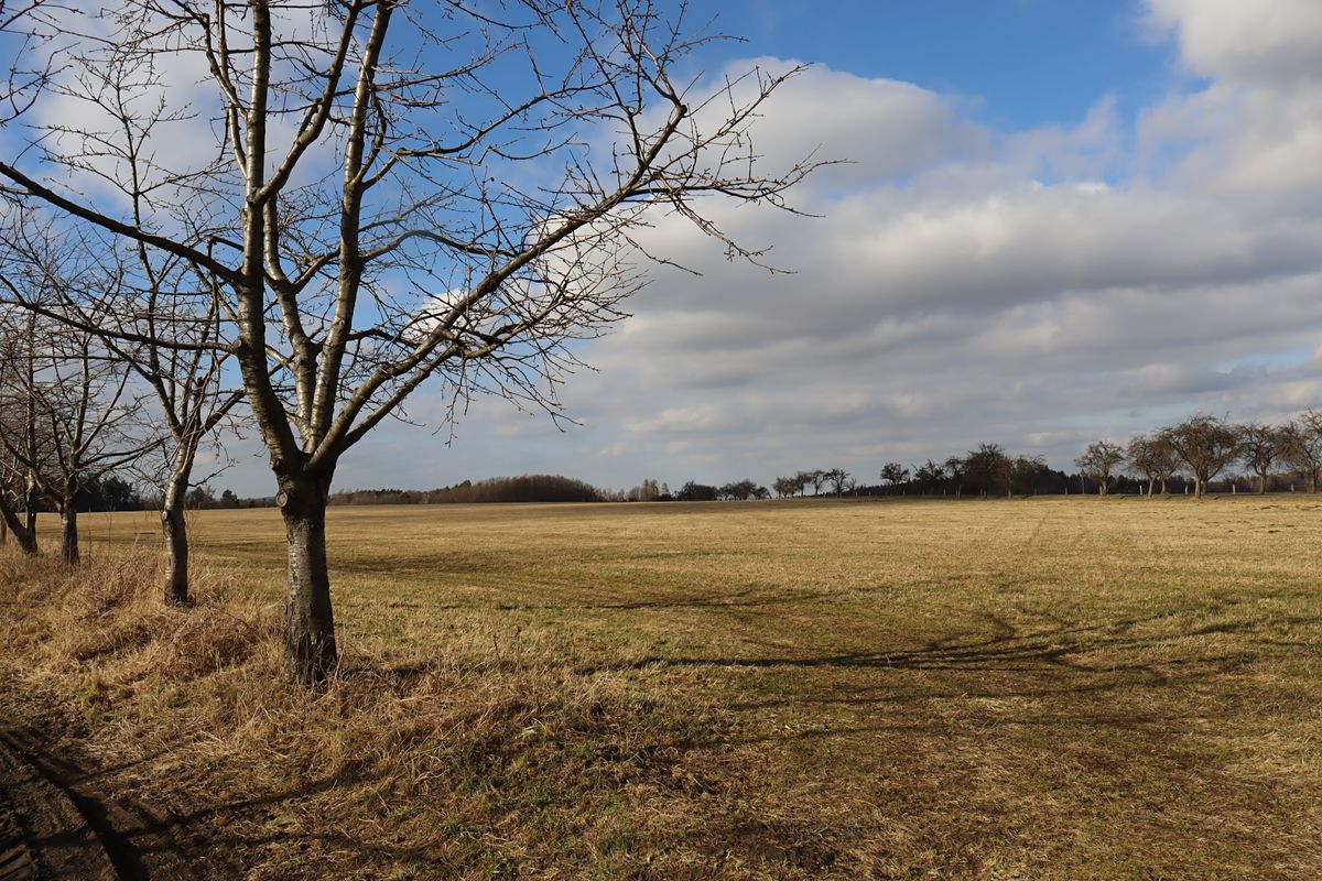Prodej stavebního pozemku 45443 m² – fotografie 2
