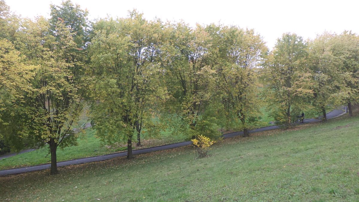 Prodej pozemku 1044 m²