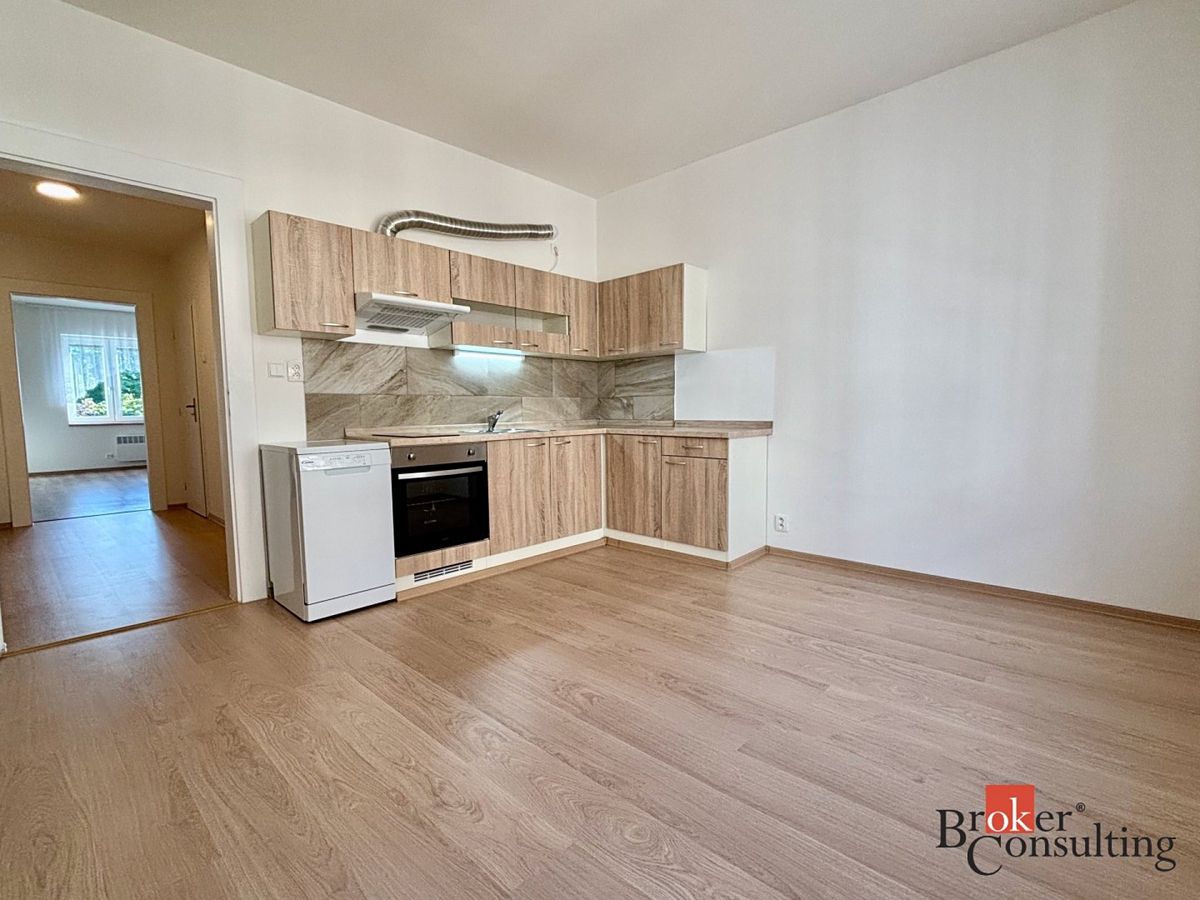 Pronájem bytu 2+kk 56 m²