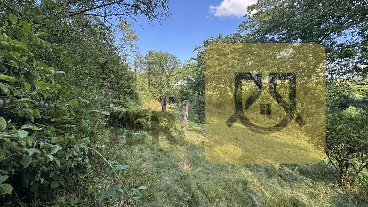 Fotka 10 z 12