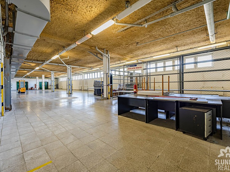 Комерційне приміщення в оренду, 8 000 м² (13 з 41)