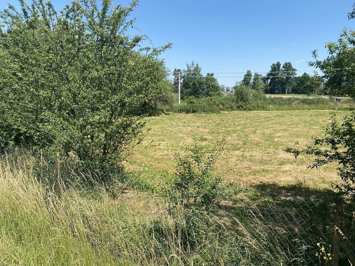 Prodej zemědělské usedlosti 410 m², pozemek 3853 m² – fotografie 5