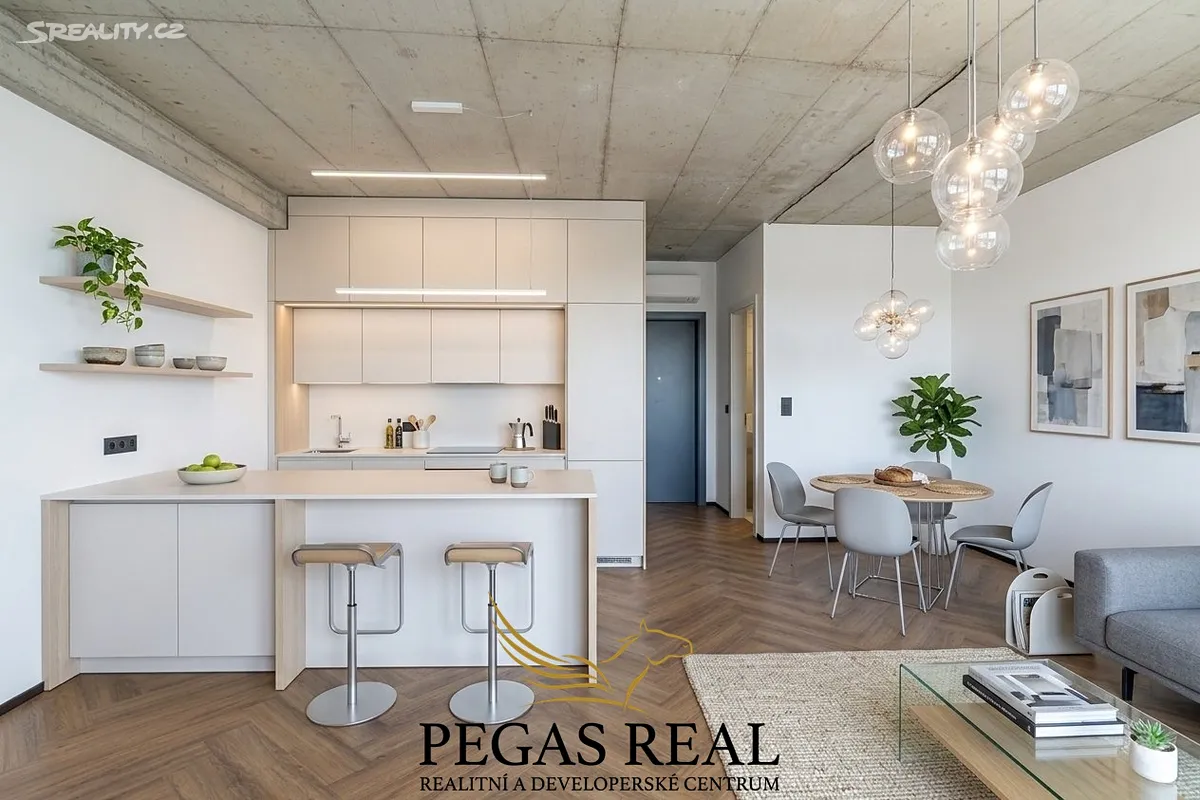 Prodej bytu 1+kk 50 m², Brno