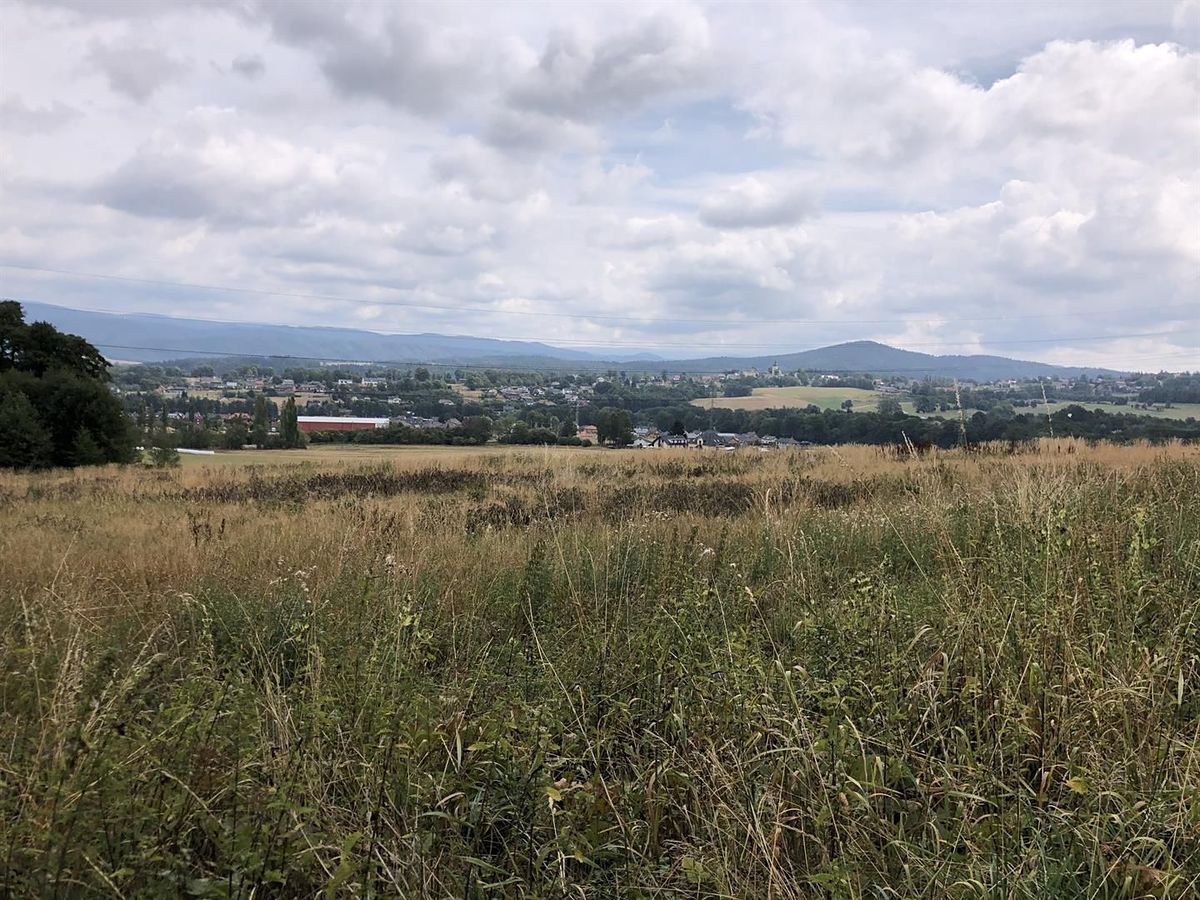 Prodej komerčního pozemku 65000 m² – fotografie 3