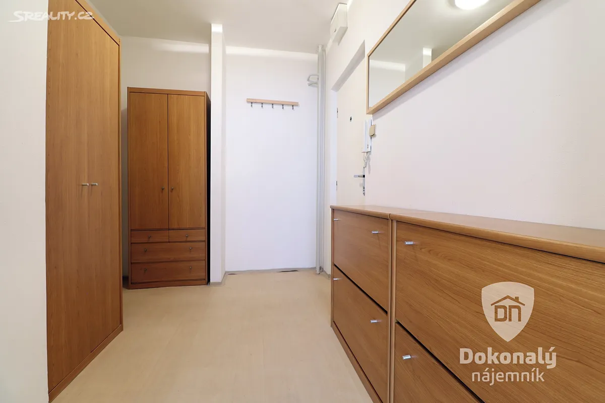 Pronájem bytu 1+kk 40 m² – další