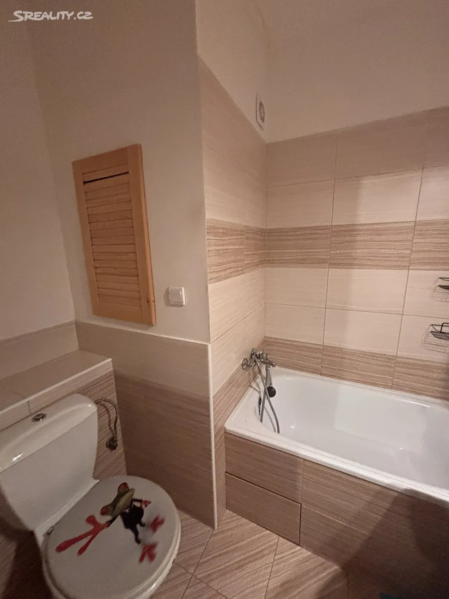 Pronájem bytu 2+kk 44 m² – další