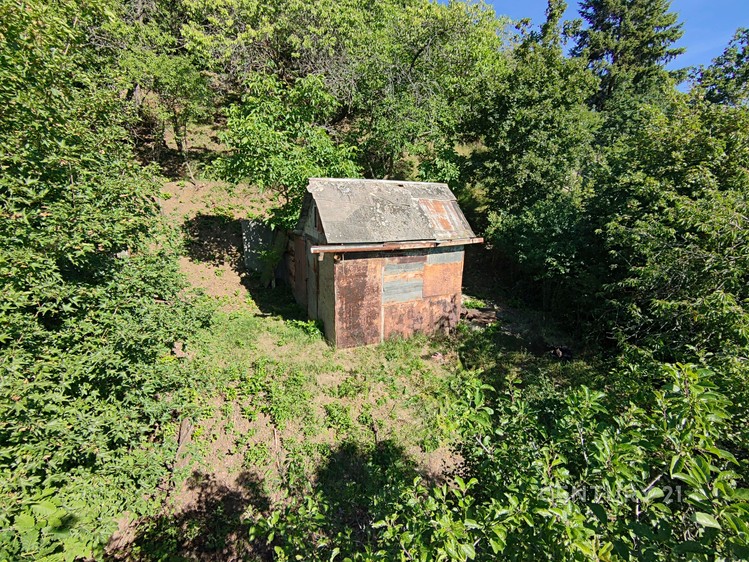 Ostatní