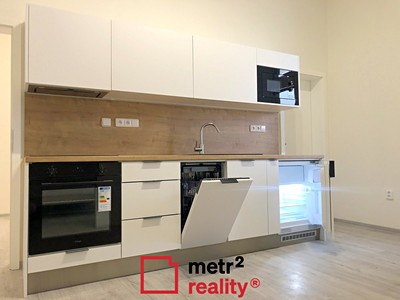 Pronájem bytu 1+1 55 m²