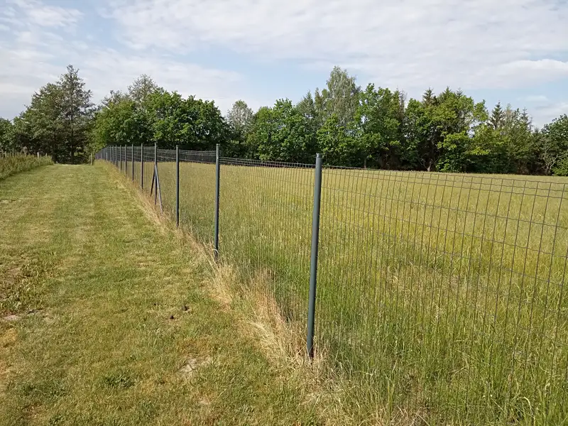 Prodej stavebního pozemku 2502 m², Petříkov – náhled fotky 3