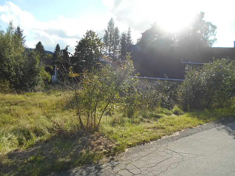 Prodej stavebního pozemku 980 m², Dolní Podluží – náhled fotky 2