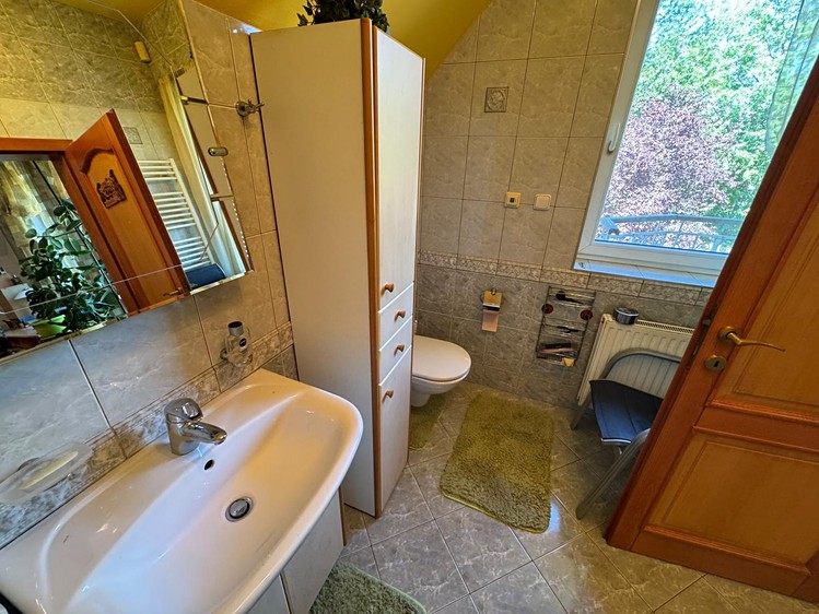 Prodej domu, 300 m² (19 z 60)