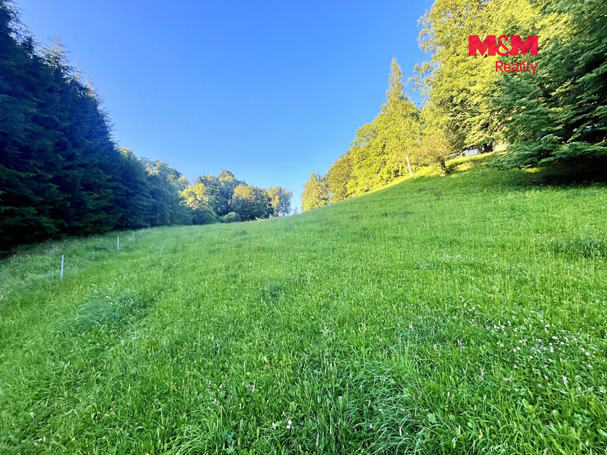 Prodej louky 5449 m² – fotografie 3