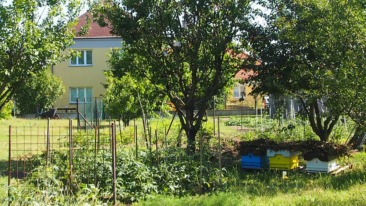 Prodej stavebního pozemku 2637 m², Přezletice – fotka 1 z 3