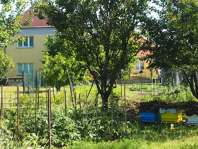 Prodej stavebního pozemku 2637 m², Přezletice – náhled fotky 1