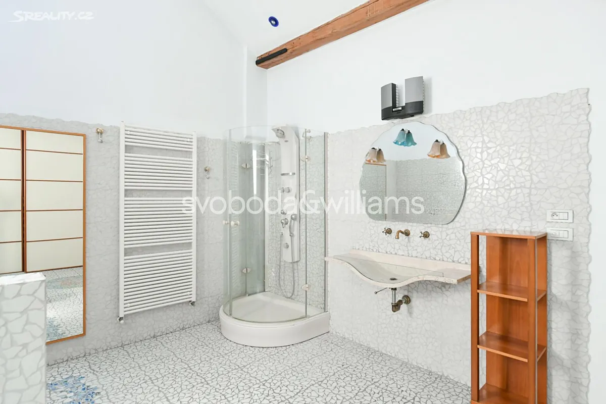 Pronájem bytu 1+kk 169 m² – další