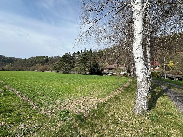 Prodej pozemku, 1 750 m² (8 z 9)