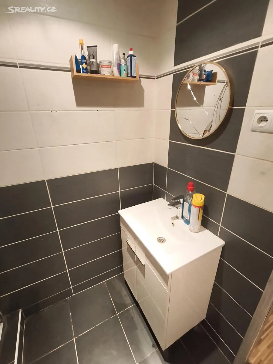Pronájem bytu 2+1 49 m² – pohled 5