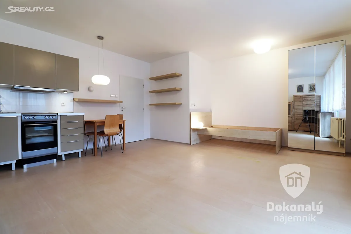Pronájem bytu 1+kk 40 m² – pohled 4