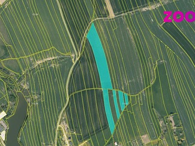 Prodej  pole 8 927 m²