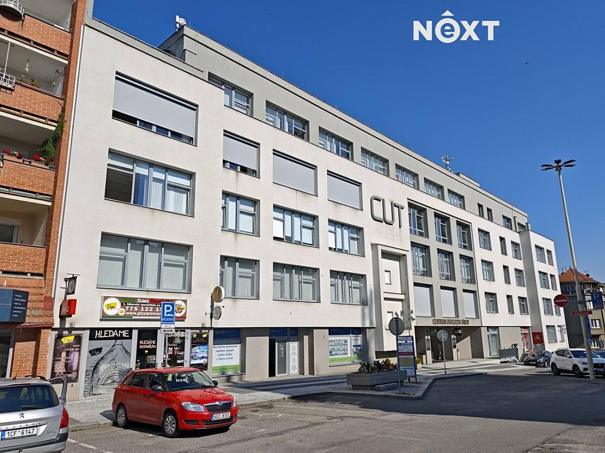 Pronájem obchodního prostoru 450 m²