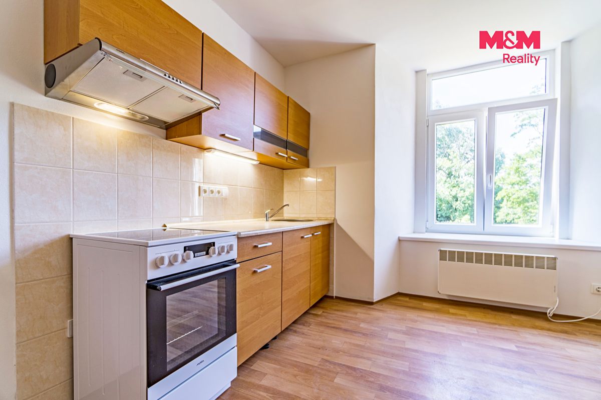 Pronájem bytu 1+kk 41 m² – fotografie 3