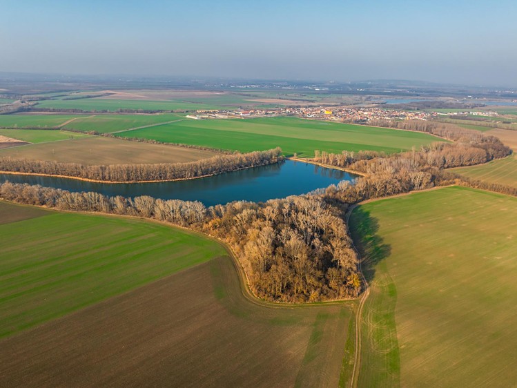 Ostatní