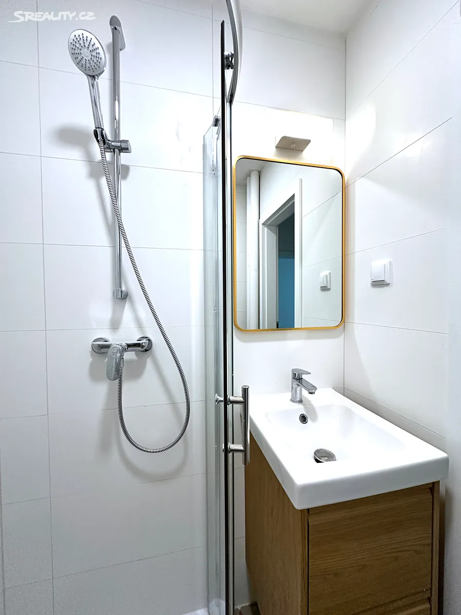 Pronájem bytu 3+1 71 m² – další