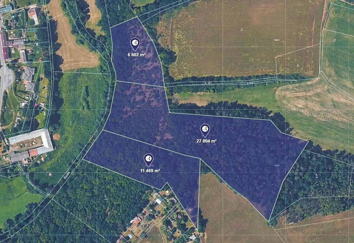 Prodej lesa 48389 m²