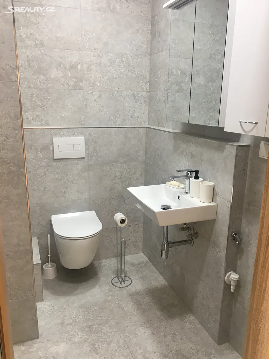 Pronájem bytu 1+1 36 m², Praha