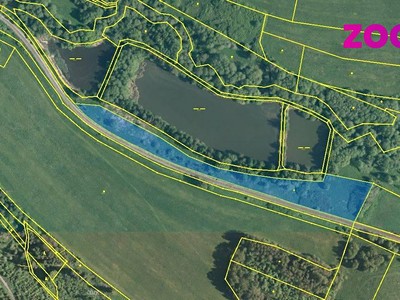 Prodej  louky 11 151 m²