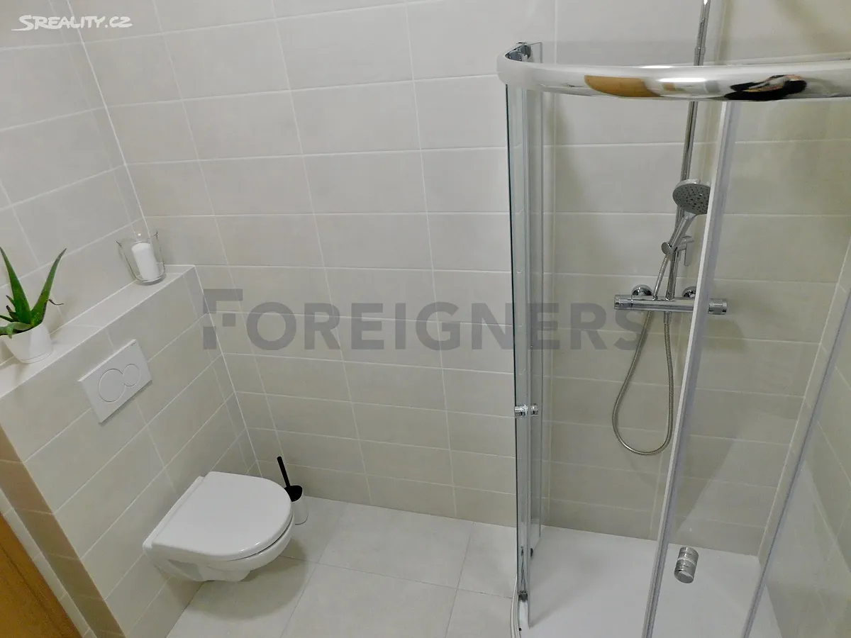 Pronájem bytu 2+kk 33 m² – další