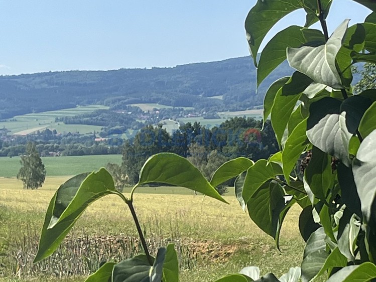 Haus zum Kauf, 1.123 m² (21 von 22)