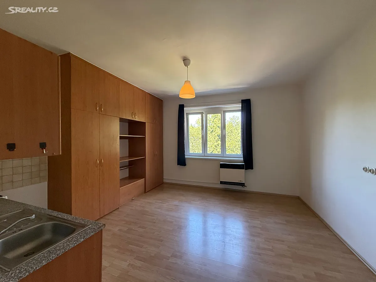 Pronájem bytu 1+kk 30 m², Praha