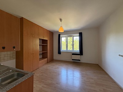 Pronájem bytu 1+kk 30 m²