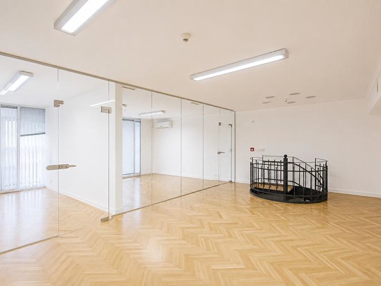Pronájem komerčního prostoru, 465 m² (4 z 9)