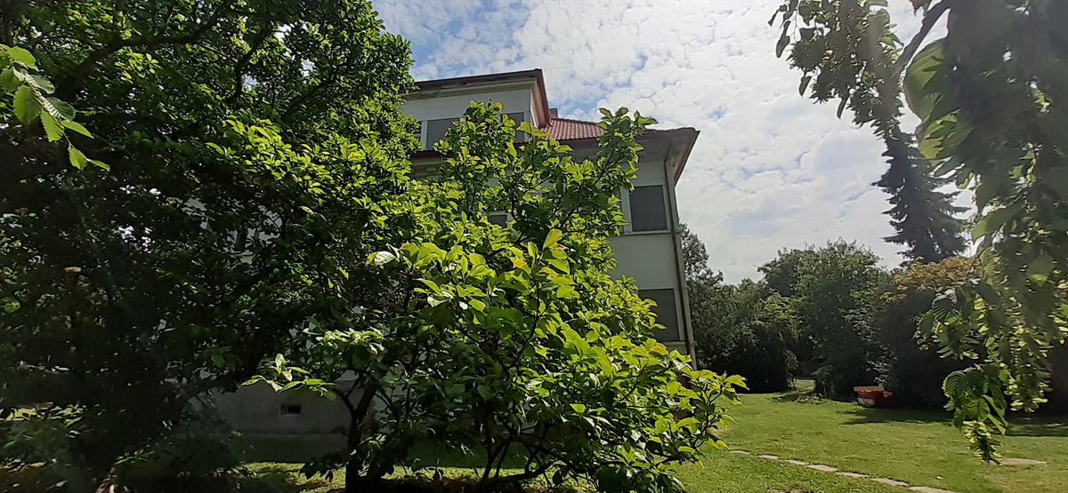 Prodej bytu 3+1 171 m²