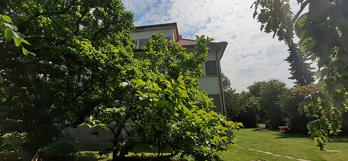 Prodej bytu 3+1 171 m²