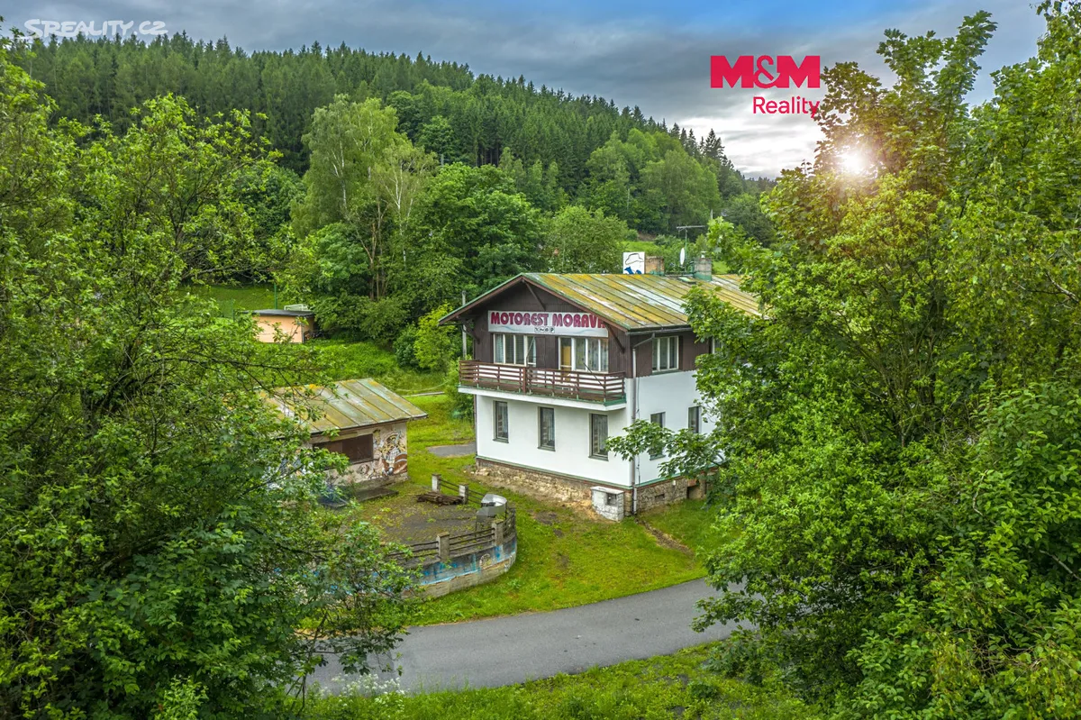 Prodej komerční nemovitosti 500 m², Plavy
