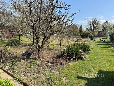 Prodej  zahrady 266 m²